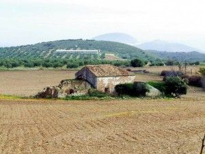 Cortijo de Nina Alta
