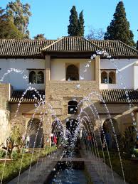 Imagen 5