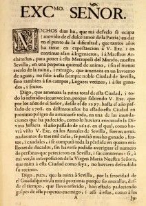 Muchos días ha que mi desvelo 1725