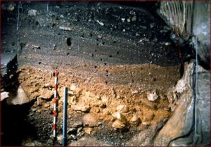 01 Estratigrafía obtenida en las excavaciones de 1990-2002